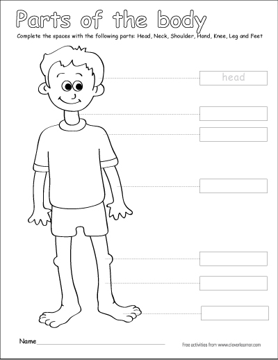Label and color the parts of the human body