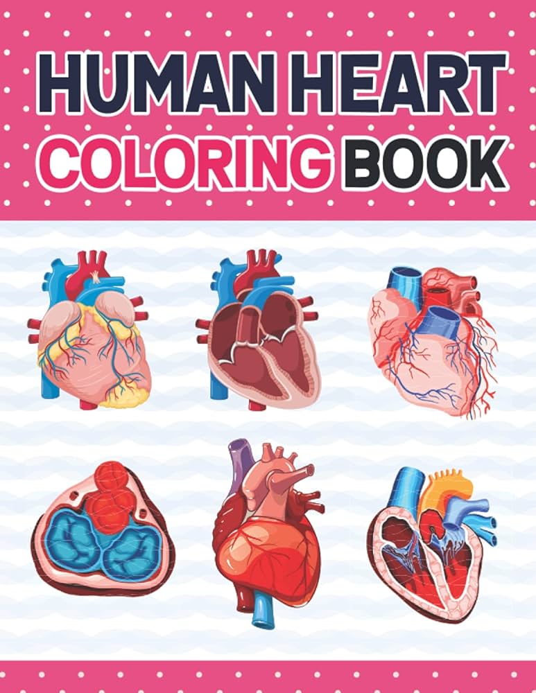 Human heart coloring book the ultimate human heart self test guide for students human heart model anatomy human heart art human heart and human learning human heart anatomy publication karniczell