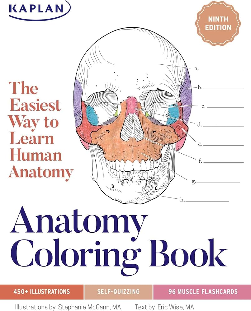 Anatomy loring book with realistic medical illustrations with quizzes for each perforated flashcards of muscle origin insertion action way to learn human anatomy kaplan test prep mccann