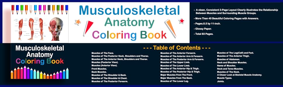 Musculoskeletal anatomy coloring book now you can learn and master the muscular system with ease while having fun kinesiology of the musculoskeletal muscles muscle system anatomy coloring book publication sambaumniel