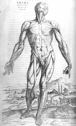 Wele to ms stephens anatomy and physiology andenvironmental science class website