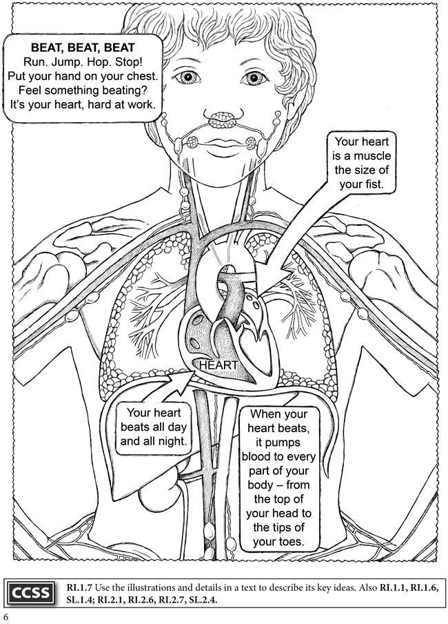 Free coloring pages science style â