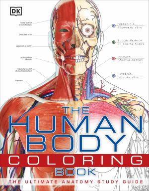 The human body coloring book college of lake county bookstore