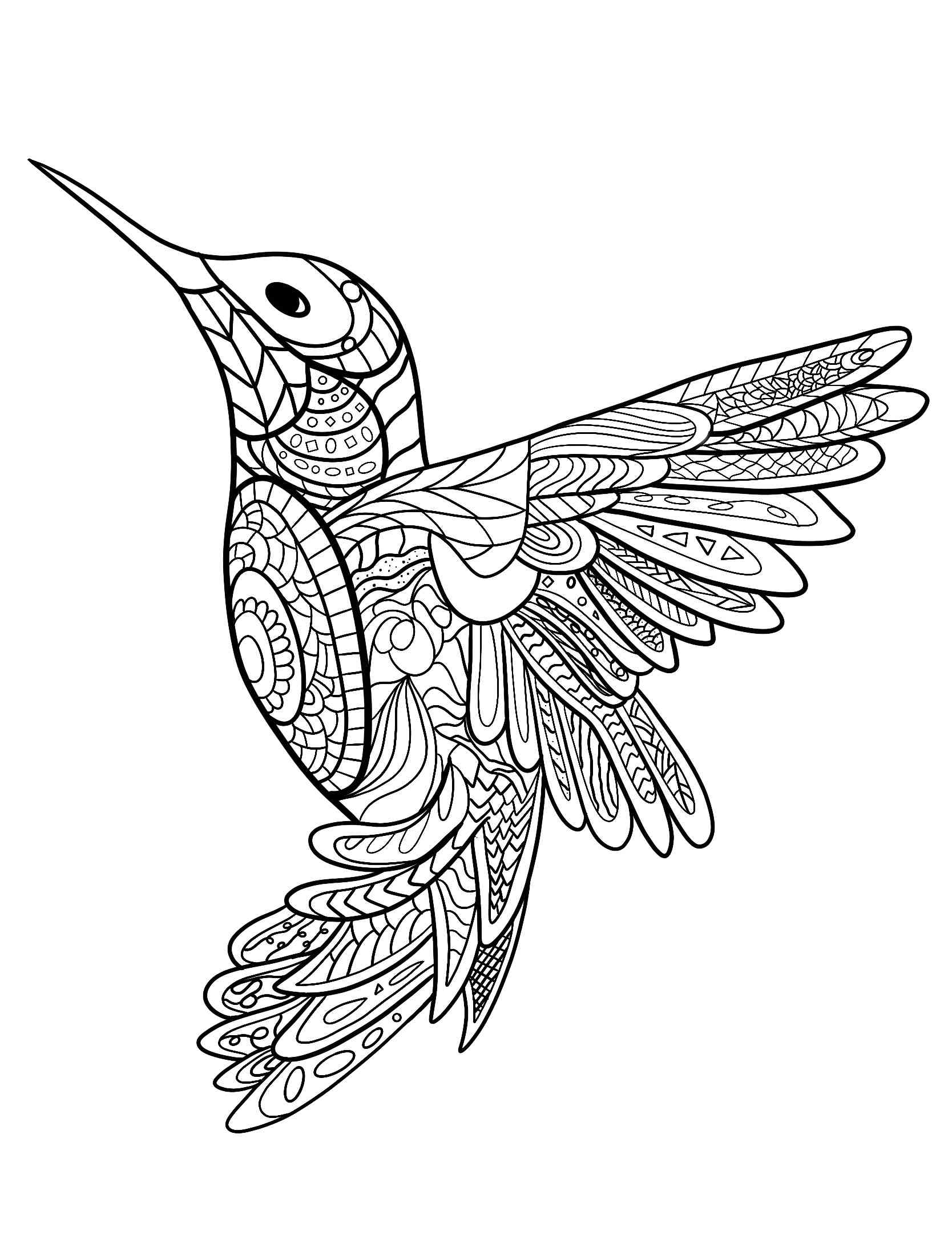 Hummingbird coloring pages for adults