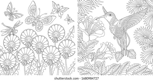 Hakuun adult coloring book vintage butterflies hummingbird liittyvã vektorikuva rojaltivapaa