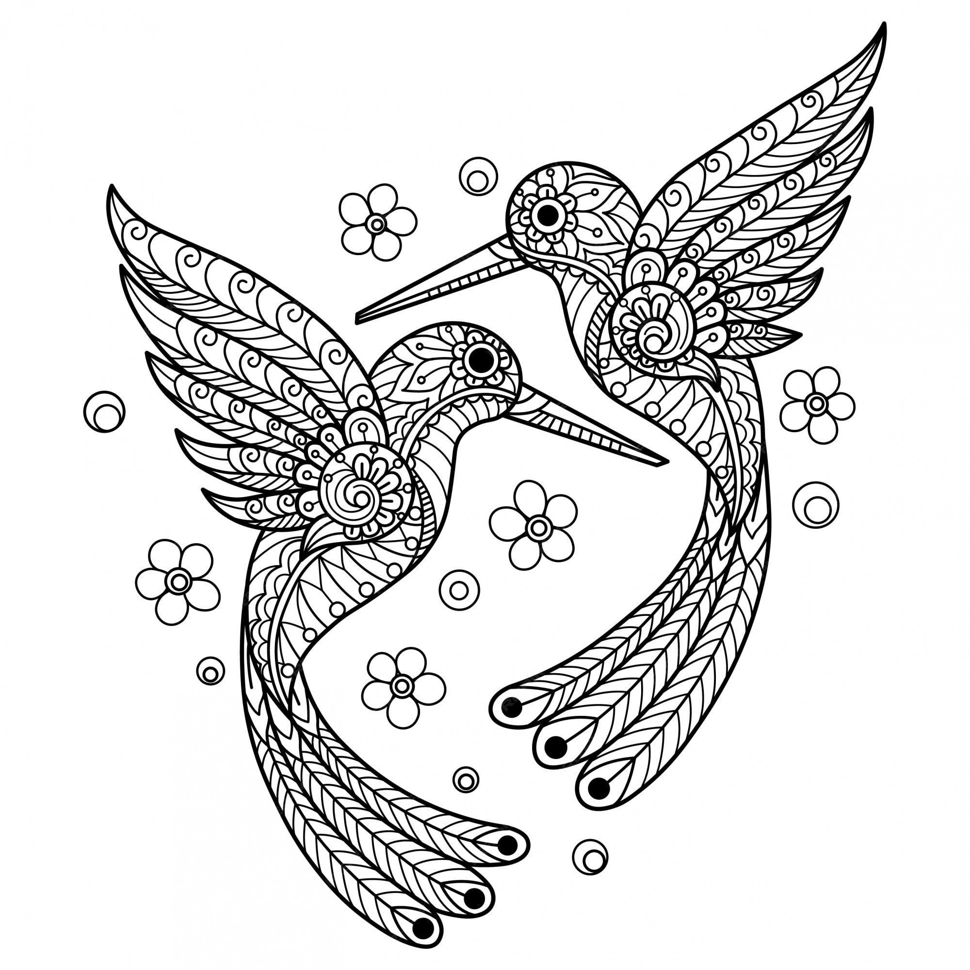 Premium vector hummingbird hand drawn sketch illustration for adult coloring book