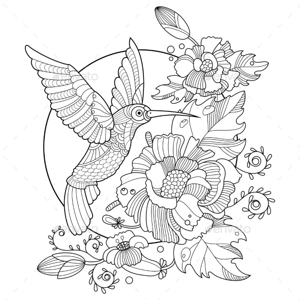 Hummingbird coloring book for adults vector vectors