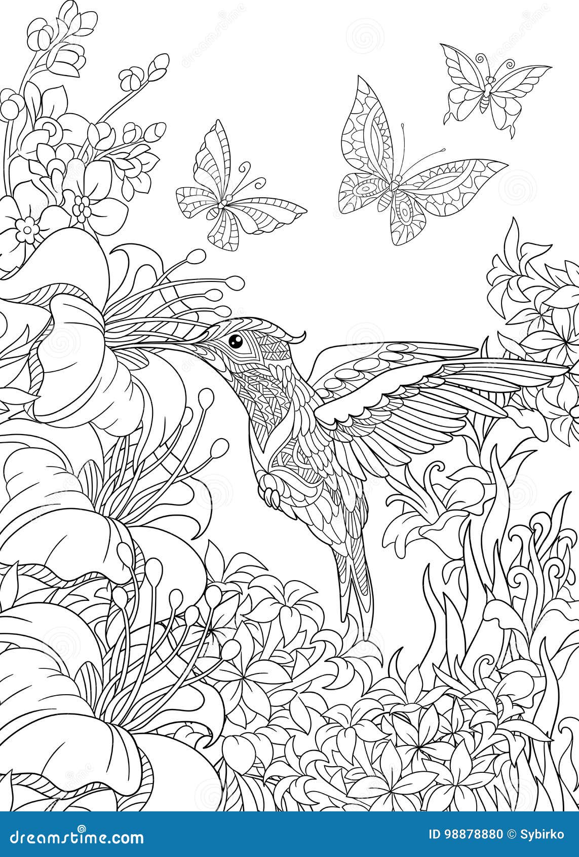 Hummingbird coloring stock illustrations â hummingbird coloring stock illustrations vectors clipart