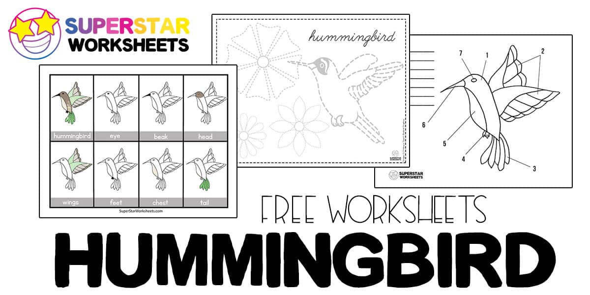 Hummingbird worksheets