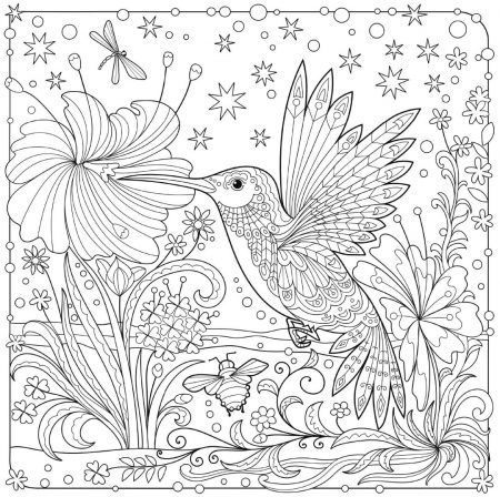 Printable coloring pages bird coloring pages animal coloring pages mandala coloring pages