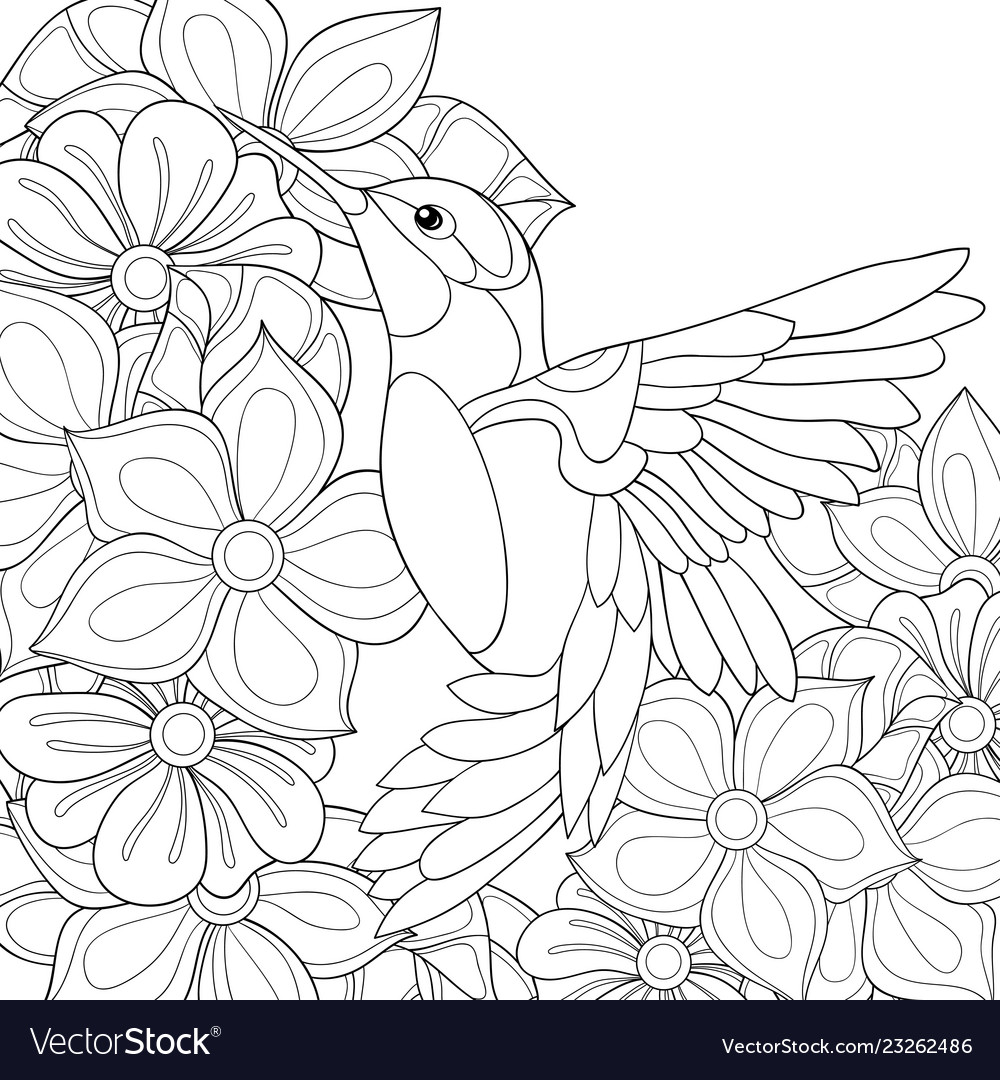 Adult coloring bookpage a cute hummingbird vector image