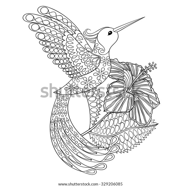 Coloring page hummingbird hibiskus zentangle illustartion stock vector royalty free