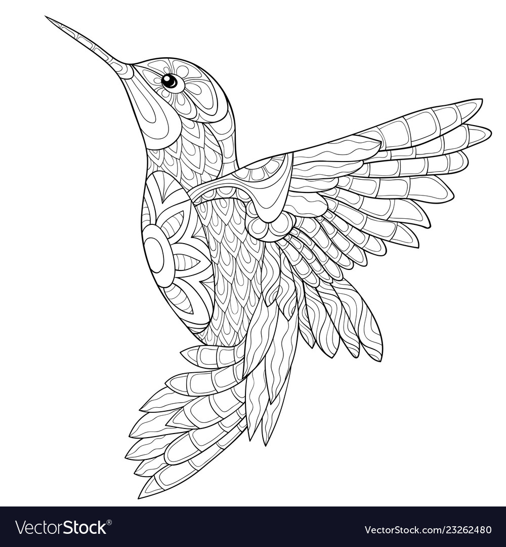 Adult coloring bookpage a cute hummingbird image vector image