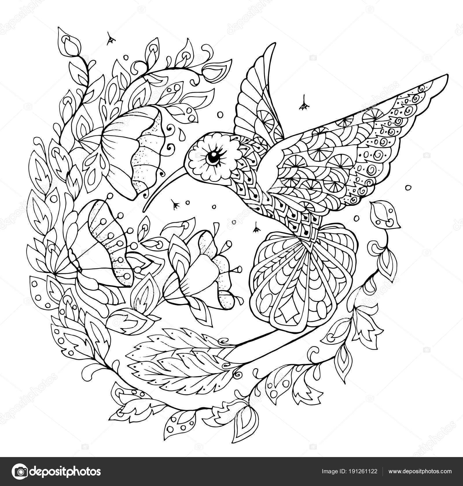 Hummingbird coloring book stock vector by snowkat