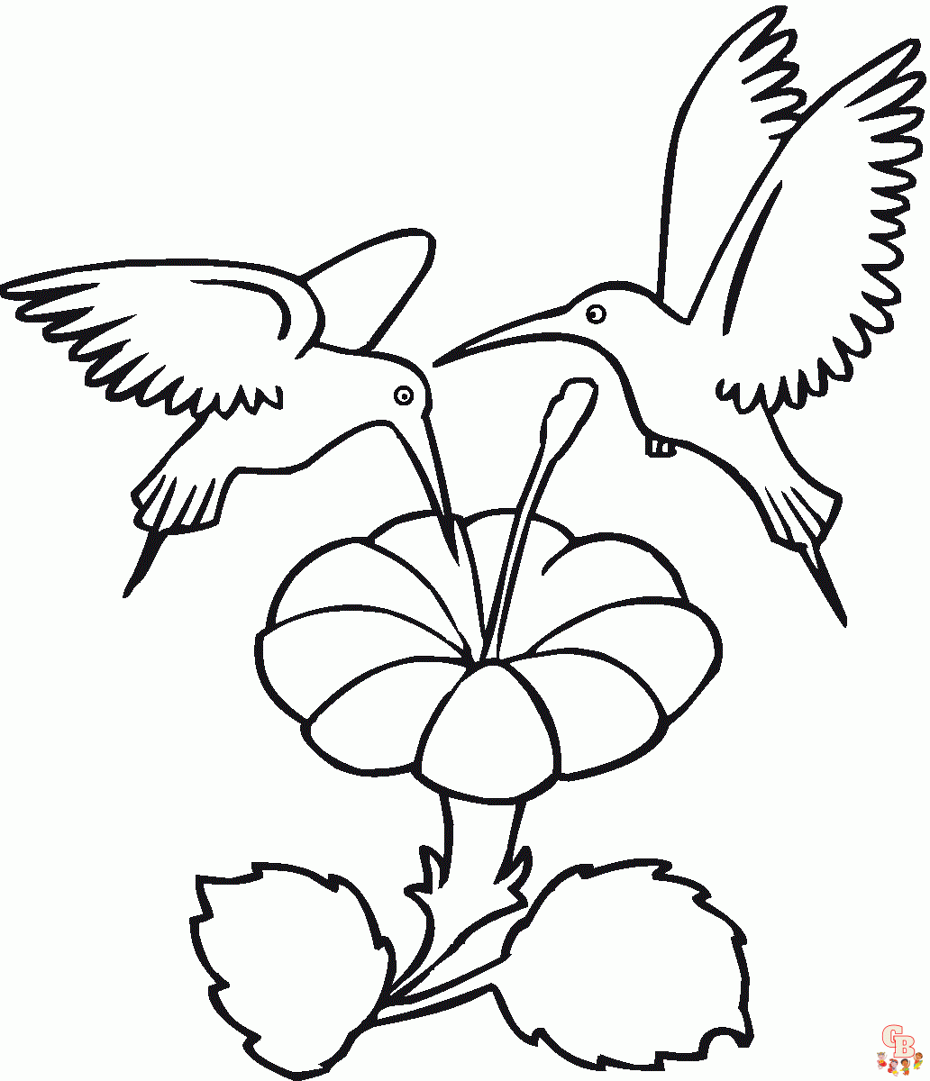 Hummingbird coloring pages