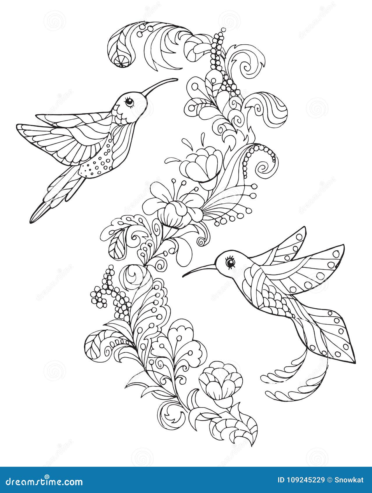 Hummingbird coloring book stock vector illustration of drawing