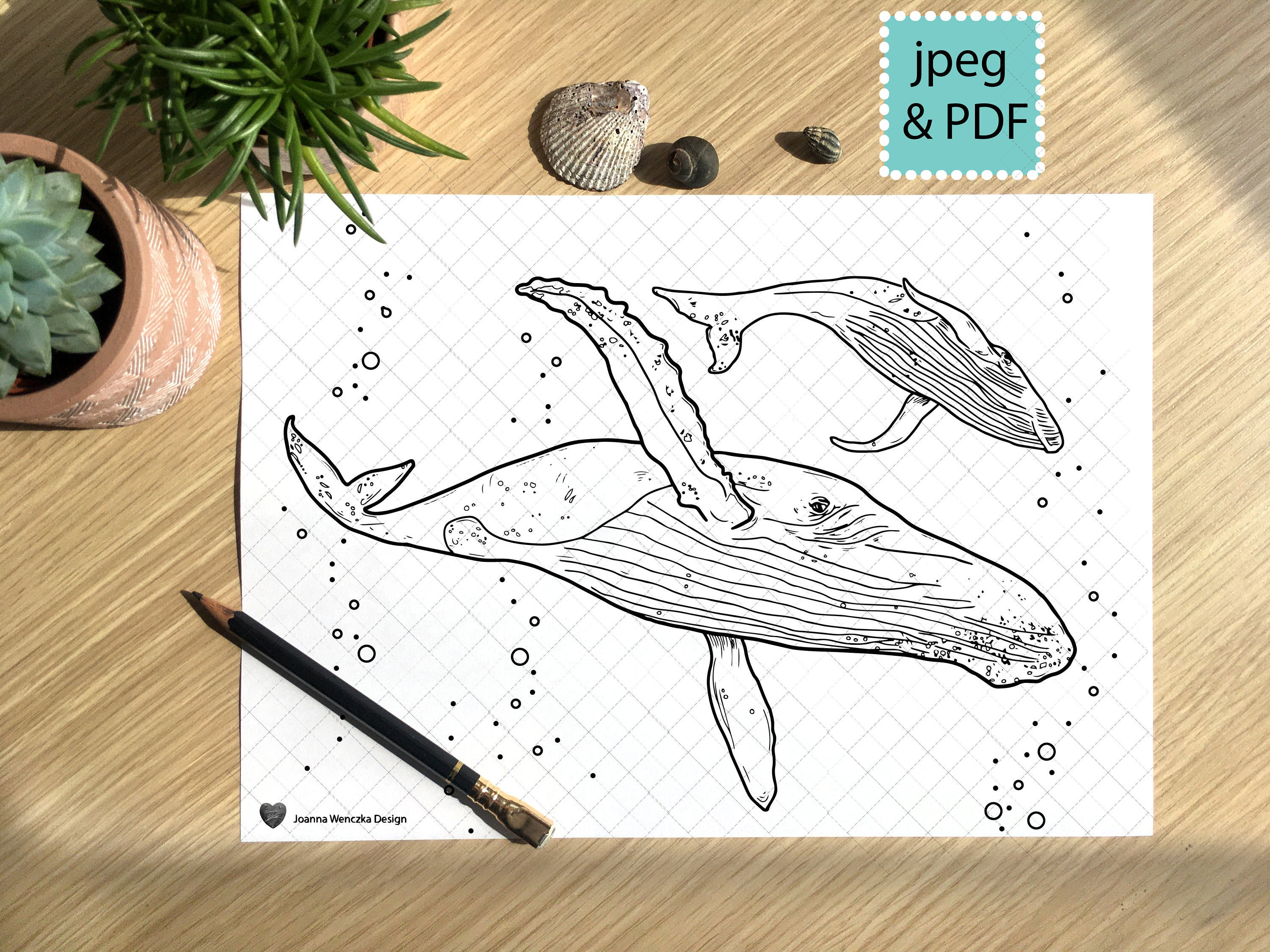 Humpback whales colouring page printable coloring page for adults children instant download whale coloring page whale coloring sheet print instant download