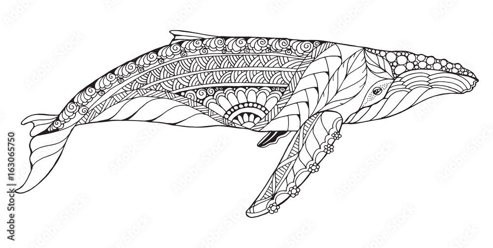 Zentangle stylized humpback whale vector illustration freehand pencil pattern zen art black and white illustration on white background adult anti