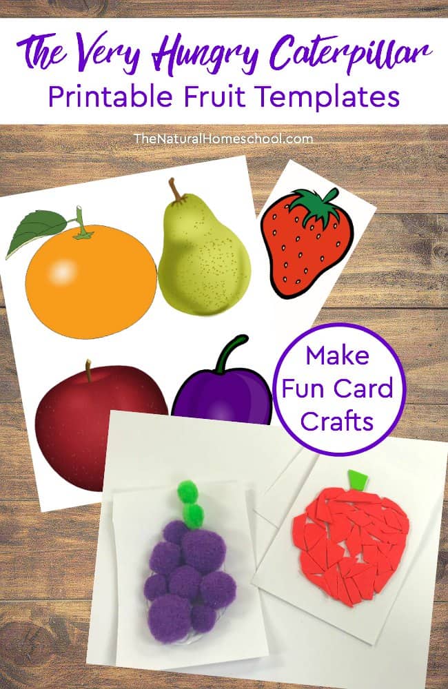 Free hungry caterpillar fruit templates free homeschool deals