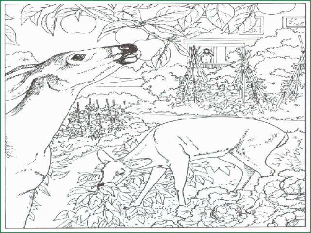 Explore the thrill of hunting with coloring pages