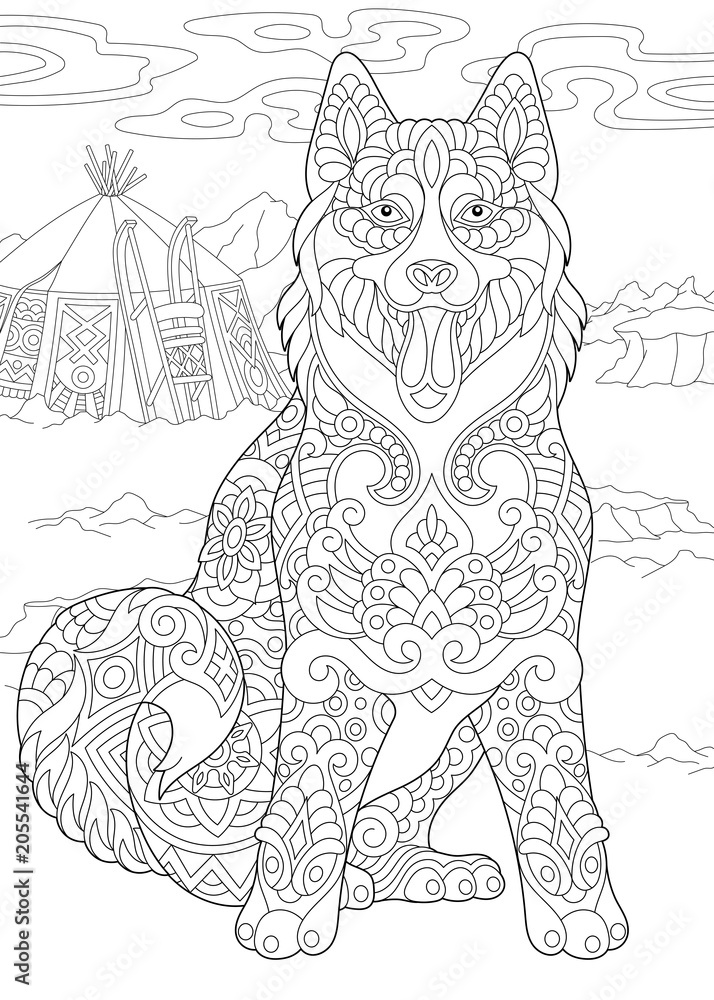 Alaskan malamute or siberian husky eskimo dog coloring page adult coloring book idea vector