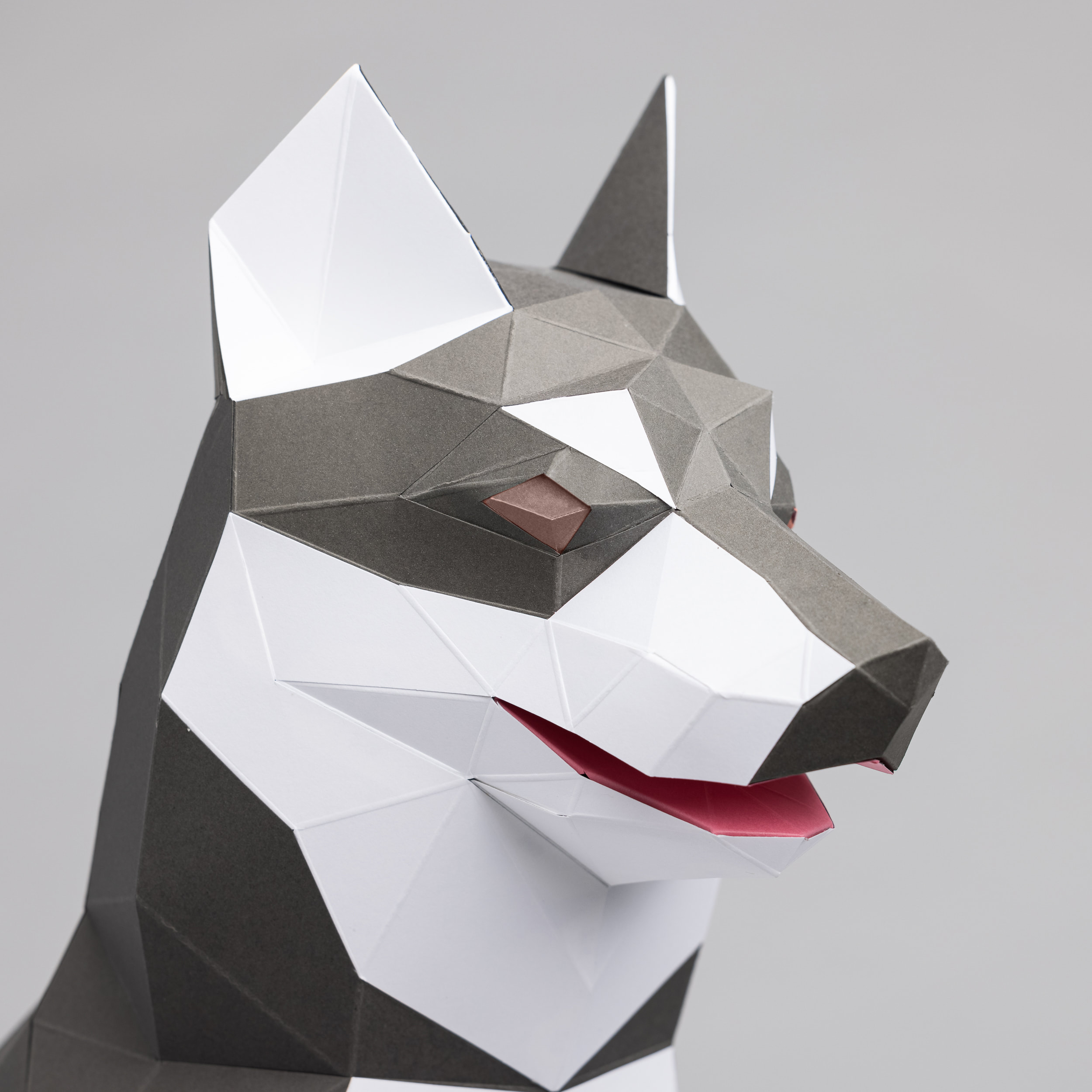 Husky d papercraft lowpoly paper diy instant download