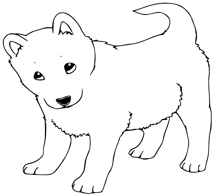 Husky coloring pages printable for free download