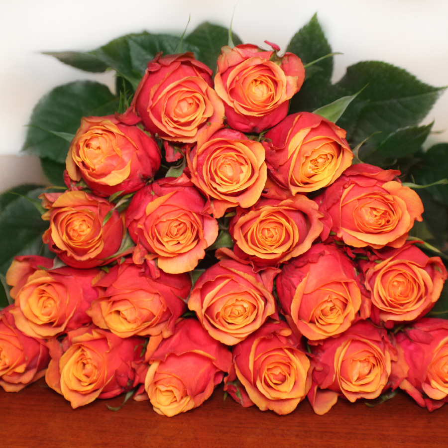Cherry brandy roses