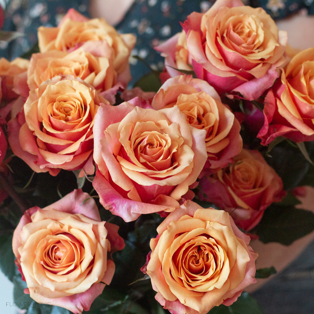 Cherry brandy roses fresh diy wedding flowers flower moxie