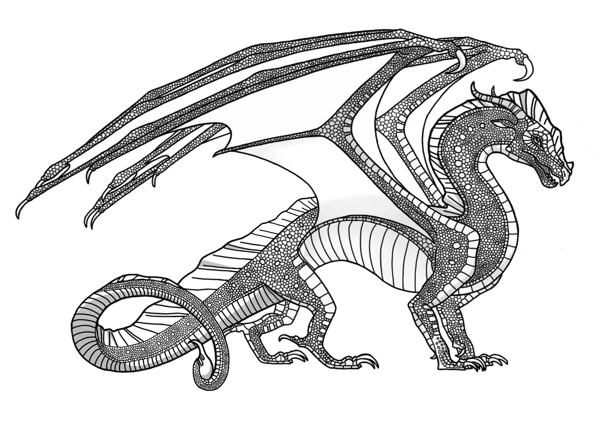 Wings of fire ideas