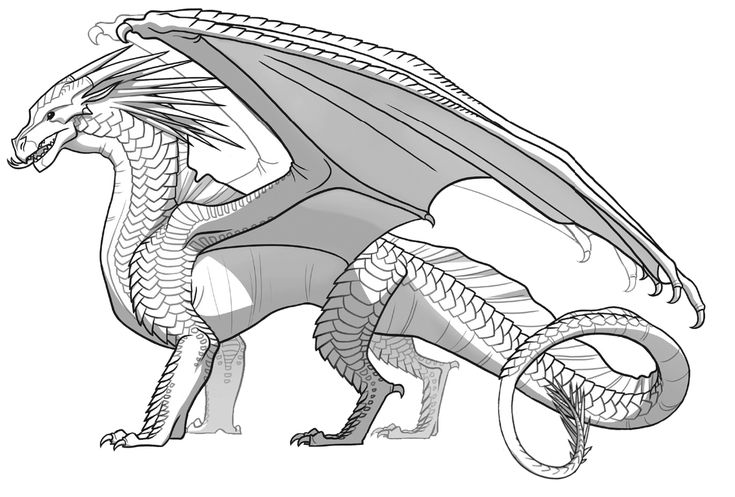 Sandwing icewing hybrid by drachenhybride on deviantart dragon coloring page wings of fire wings of fire dragons