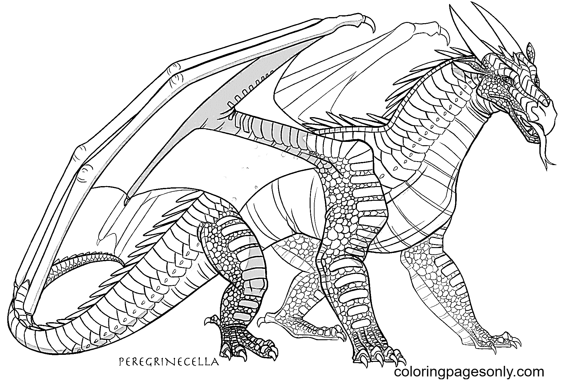Hybrid dragon coloring page
