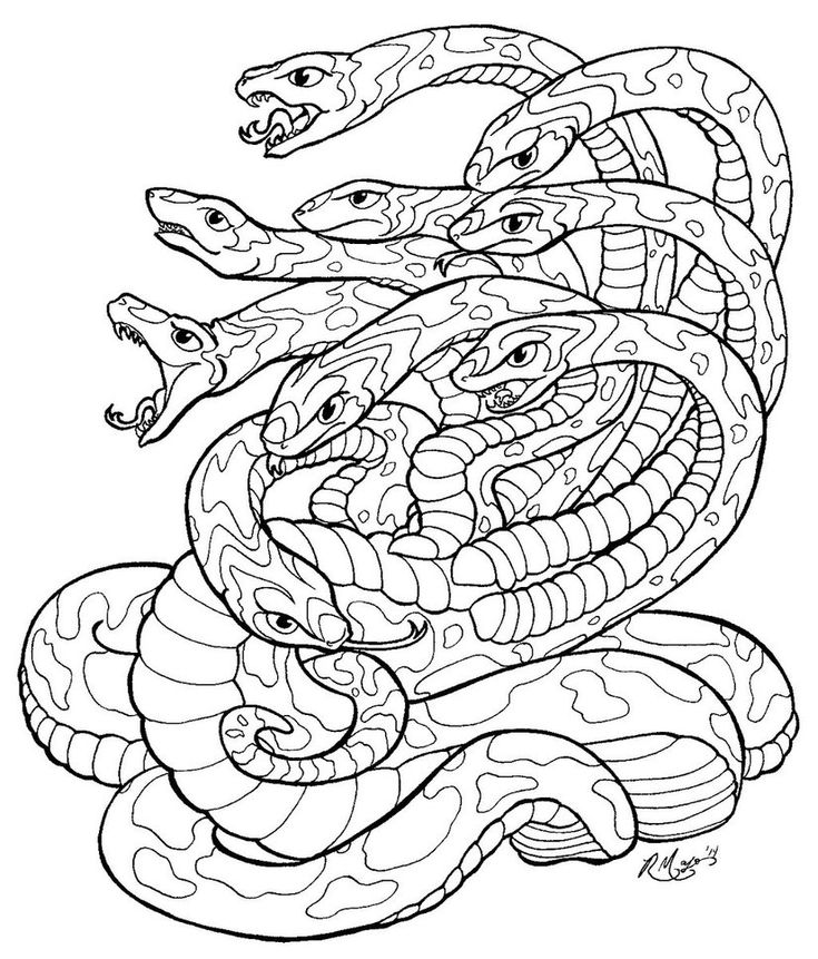 Hydra lineart jpg snake coloring pages coloring pages drawings