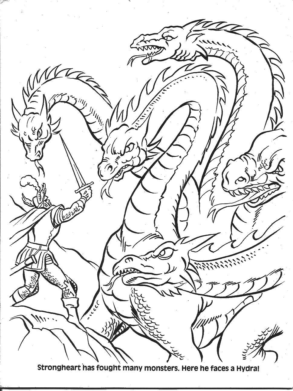 Online coloring pages coloring page hydra and knight fairy tales heroes download print coloring page