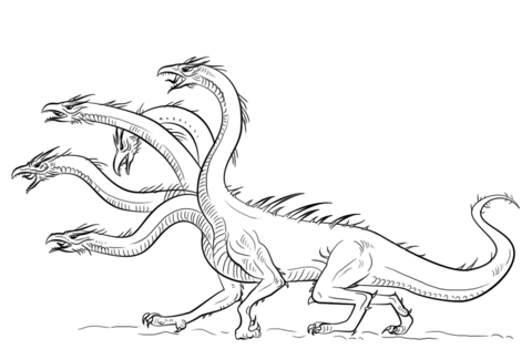 Hydra dragon coloring page free printable coloring pages