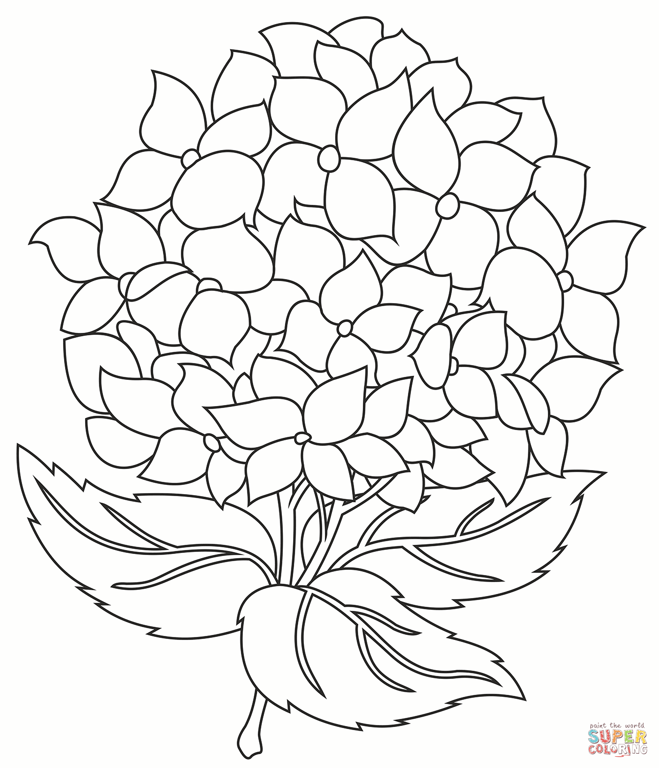 Hydrangea coloring page free printable coloring pages