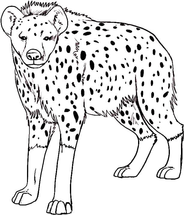 Print hyena coloring page