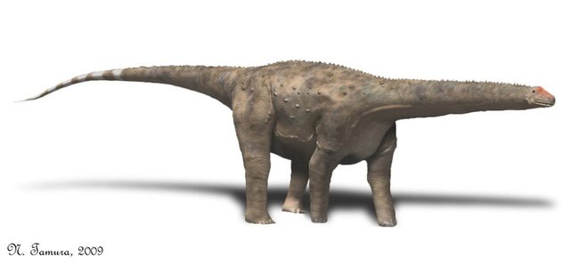Hypselosaurus pictures facts
