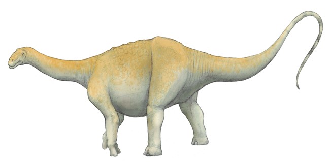 Hypselosaurus pictures facts