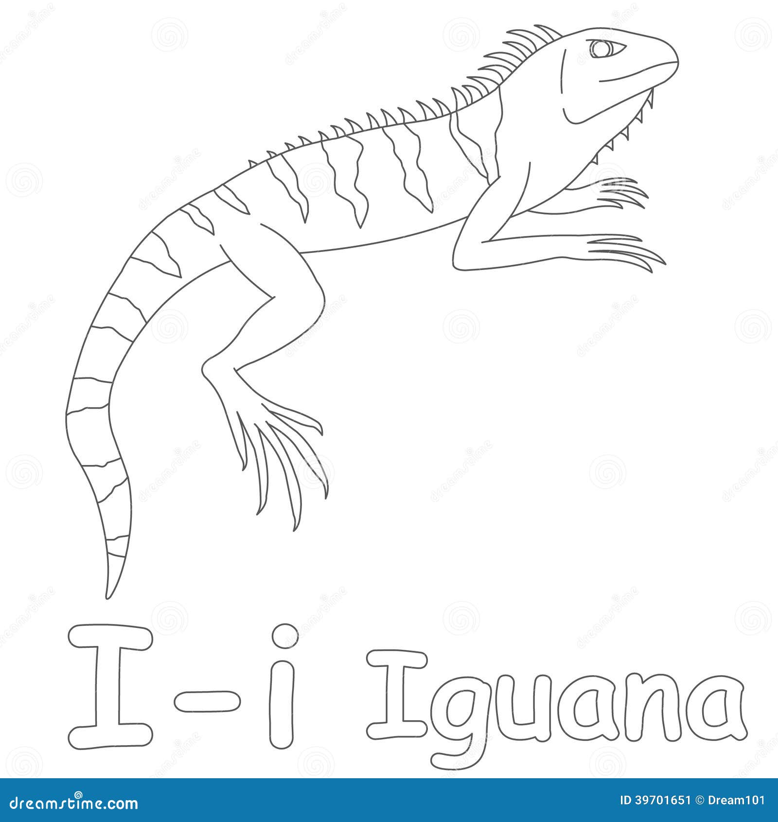 Iguana coloring page stock illustrations â iguana coloring page stock illustrations vectors clipart