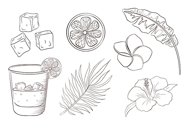 Premium vector whiskey and soda cocktail tropical flowers and leaves coloring page exotic plants and blossoms set banana and palm leaves lemon slice ice cubes hibiscus and plumeria flowers premium vector