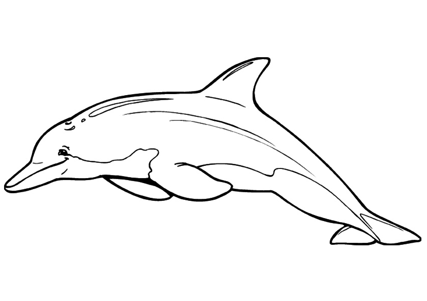 Iceland coloring pages