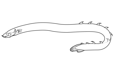 Reedfish erpetoichthys calabaricus coloring page free printable coloring pages