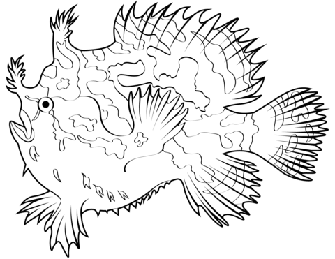 Sargassum fish histrio histrio coloring page free printable coloring pages