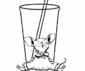 If you give a mouse a cookie coloring page mouse a cookie cookie drawing cookie birthday party