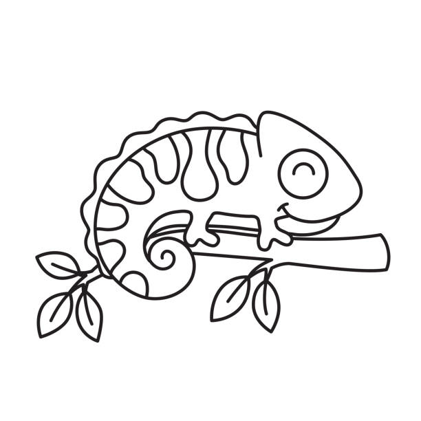Coloring book iguana stock illustrations royalty
