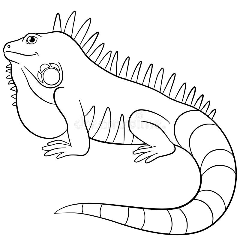 Iguana stock illustrations â iguana stock illustrations vectors clipart