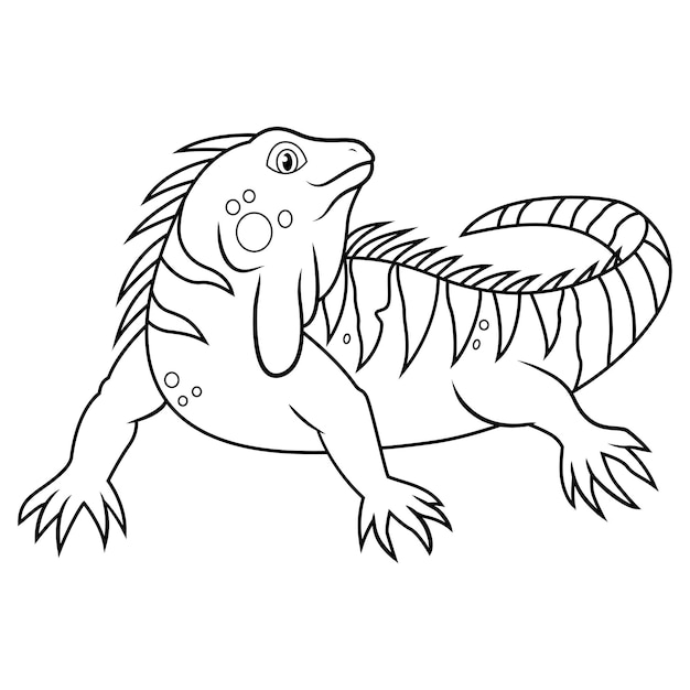 Premium vector iguana in black and white