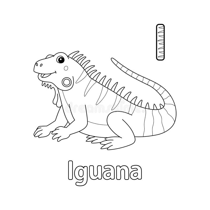 Iguana coloring page stock illustrations â iguana coloring page stock illustrations vectors clipart