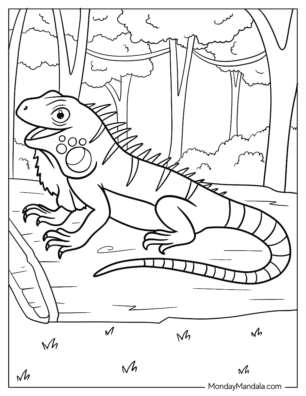Iguana coloring pages free pdf printables